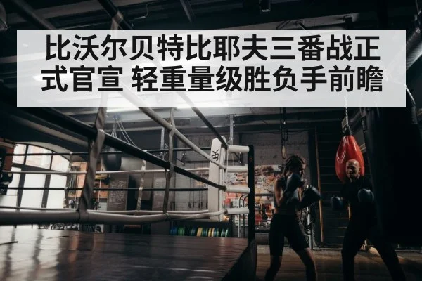 boxer training